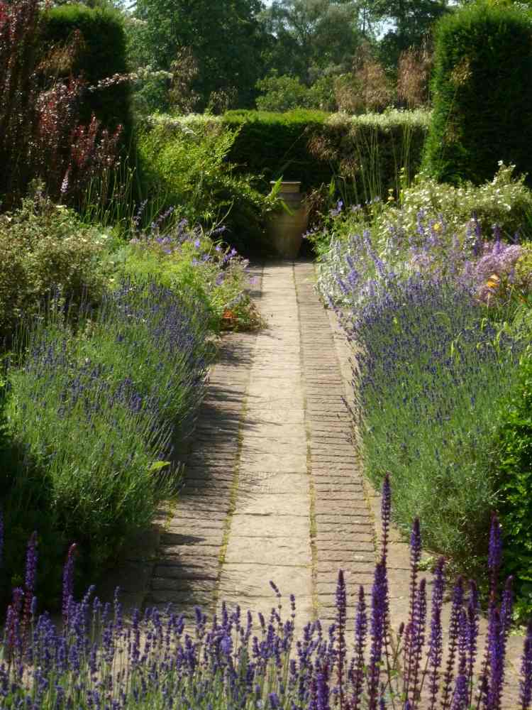 Medelhavs-trädgård-design-lavendel-väg-trottoar-buskar-markskydd