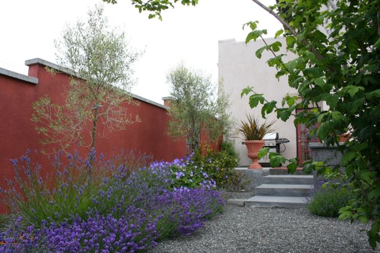 Medelhavet-trädgård-design-lavendel-Toscana-villa-grus-vägg-röd