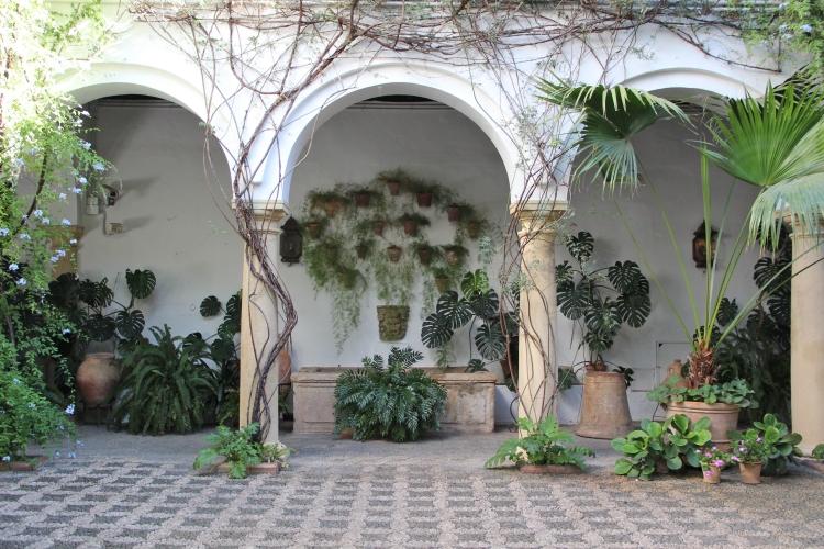 Medelhavet-trädgård-design-palmer-kardborreplanter-pelare-sten-antik