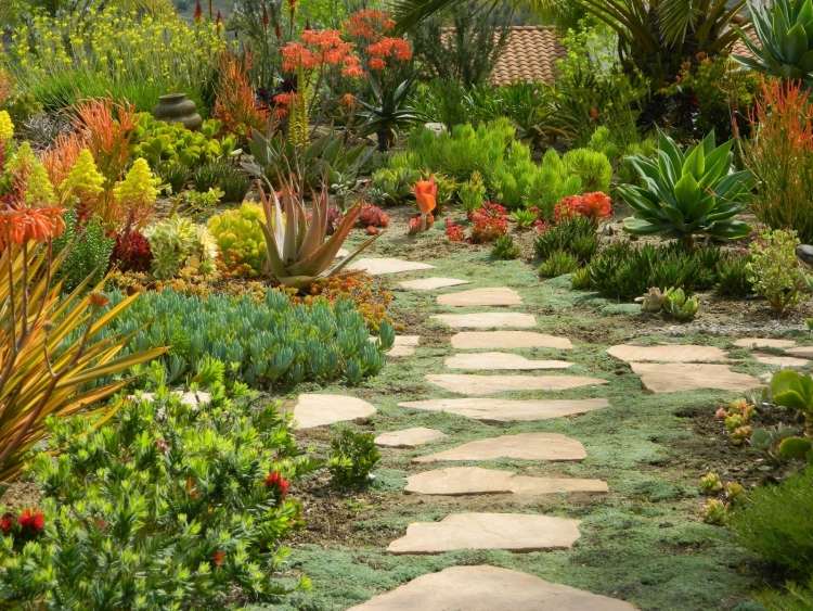 medelhavs-trädgård-design-stig-mark-täck-agave-aloe-blommor-sten-mossa