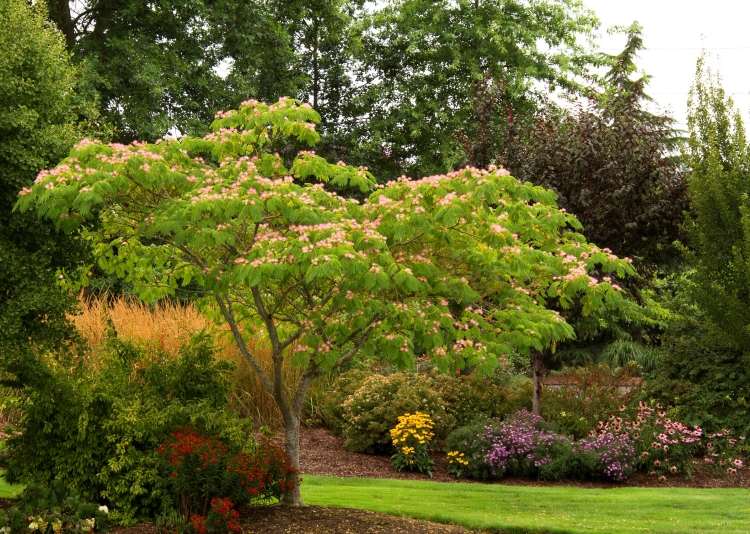 Medelhavet-trädgård-design-siden-träd-gräsmatta-blommor-träd-trädgård-stor