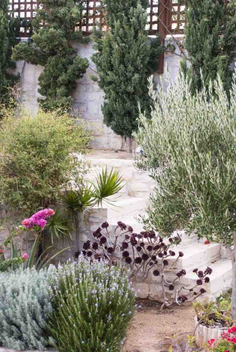 Medelhavs-trädgård design-cypress-staket-natursten-vita-buskar-blommor-växter