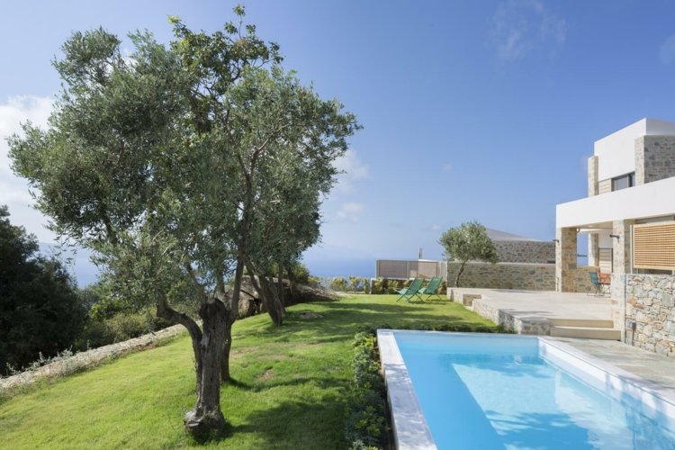 Medelhavet-vägg-sten-sluttning-design-vit-blå-pool-design-träd-skugga