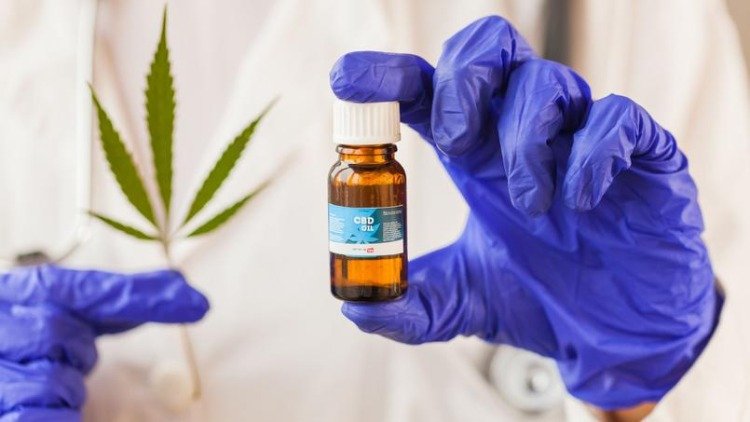 cannabinoid extrakt cannabis olja medicinska ändamål sömnstörningar smärta cancer