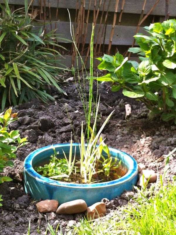 skapa en vatten trädgård mini damm gräva plantering