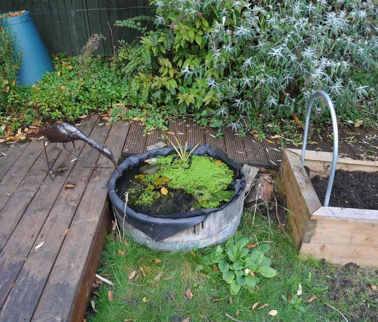 Mini trädgård damm tenn hink-plantering-gartendeko