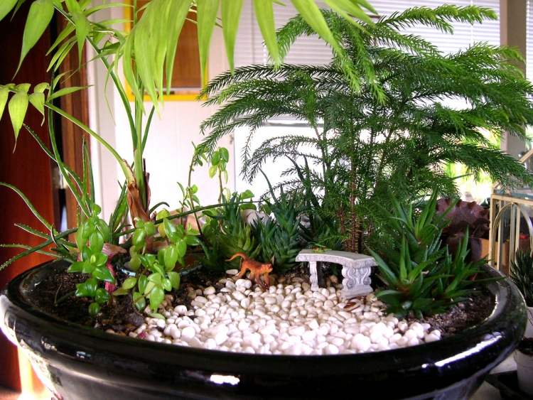 miniatyr-trädgård-grus-vit-ormbunke-palm-apa-bänkskugga