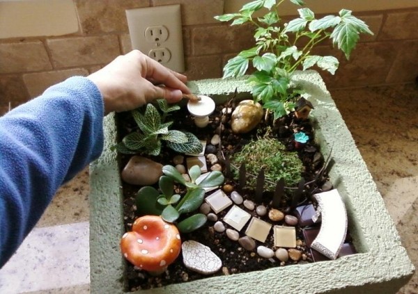 miniatyr design växt behållare sten