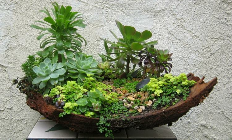 miniatyrträdgårdar i växtkrukor trädbark idé succulenter mossa