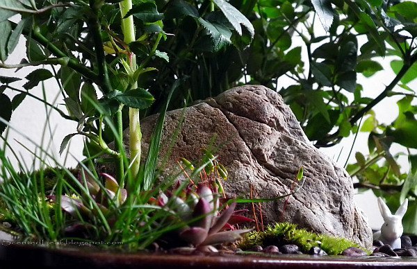 Miniatyrträdgårdar i planters växtsten dekoration