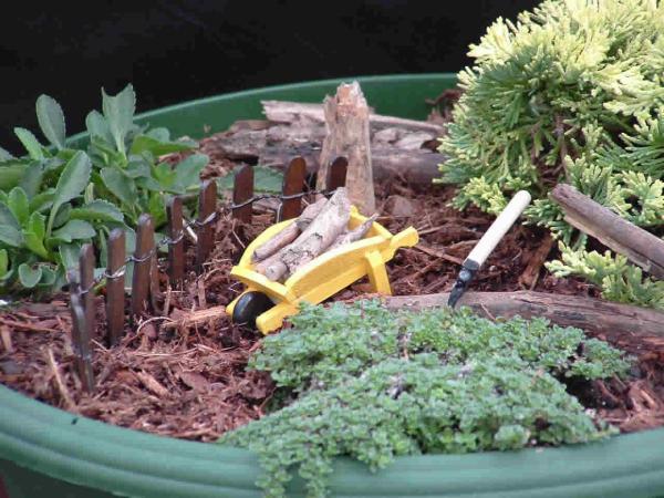 Miniatyrträdgårdar planterings skottkärra staket