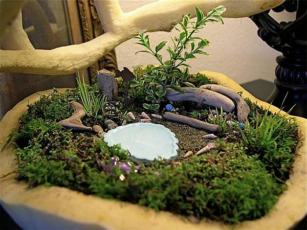 Miniatyrträdgårdar växt krukor mossa damved