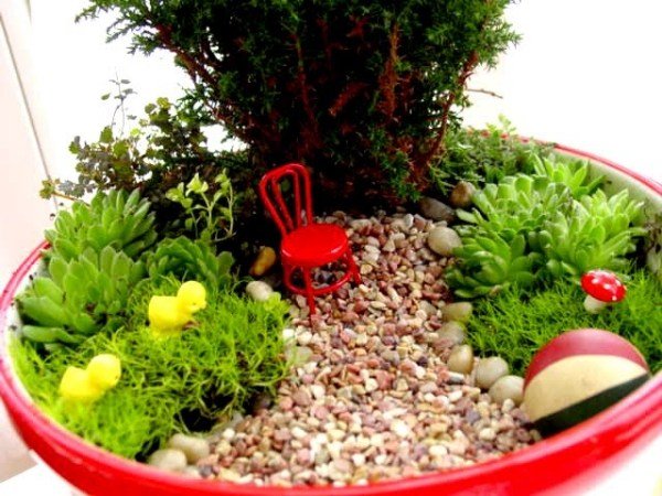 Miniatyrträdgårdar planterings balkong trottoar svampar kycklingar