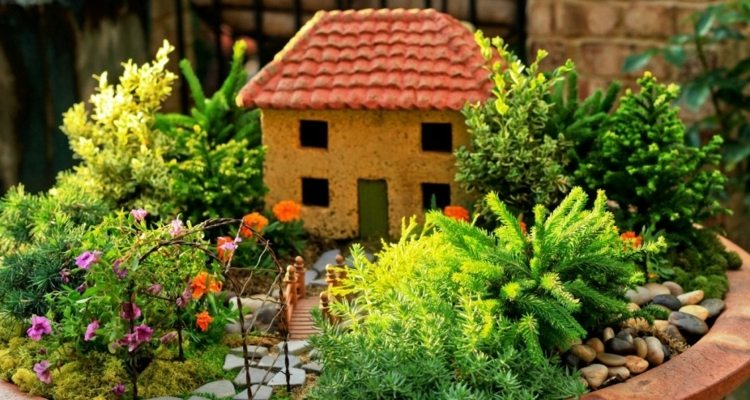 miniatyr trädgårdar i planters främre trädgård idé hus grönare idé