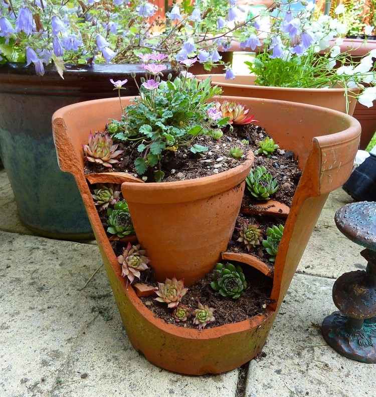 Skapa mini-trädgård lera-kruka-trädgård-skapa-succulenter
