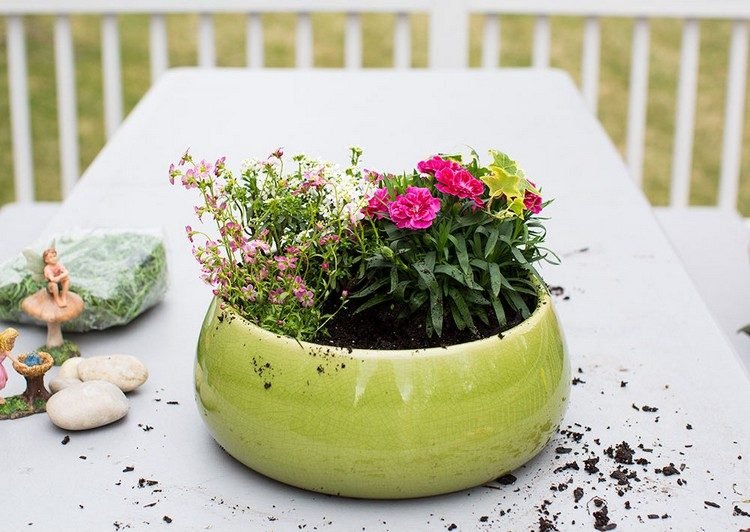 mini-trädgård-design-blomma-kruka-växt-små-blommor