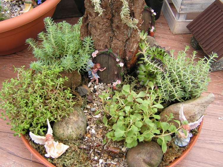 mini-trädgård-design-skapa-växter-idéer-dekoration