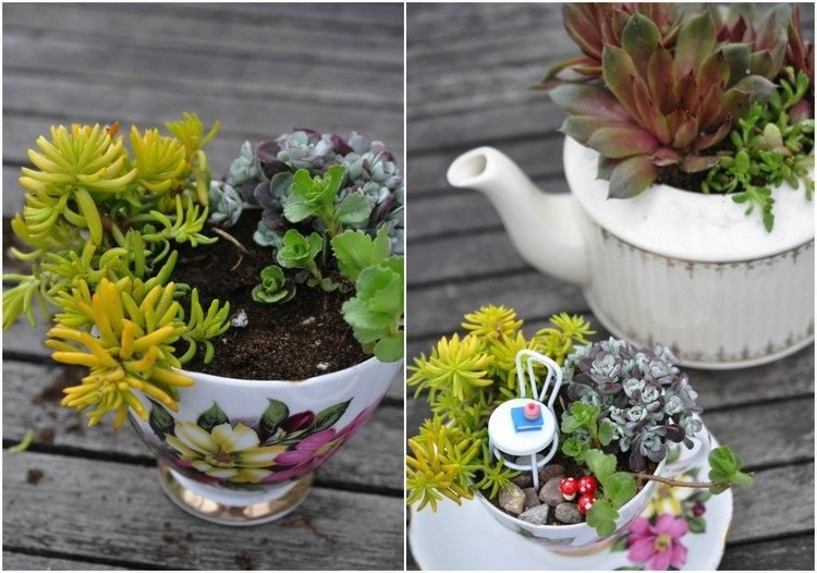 mini-trädgård-design-kopp-tekanna-växt-succulenter