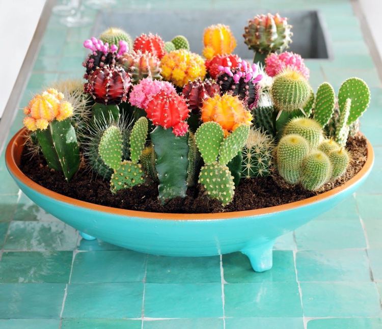 Miniträdgård med kaktussuckulenter påskdekoration exotisk skål