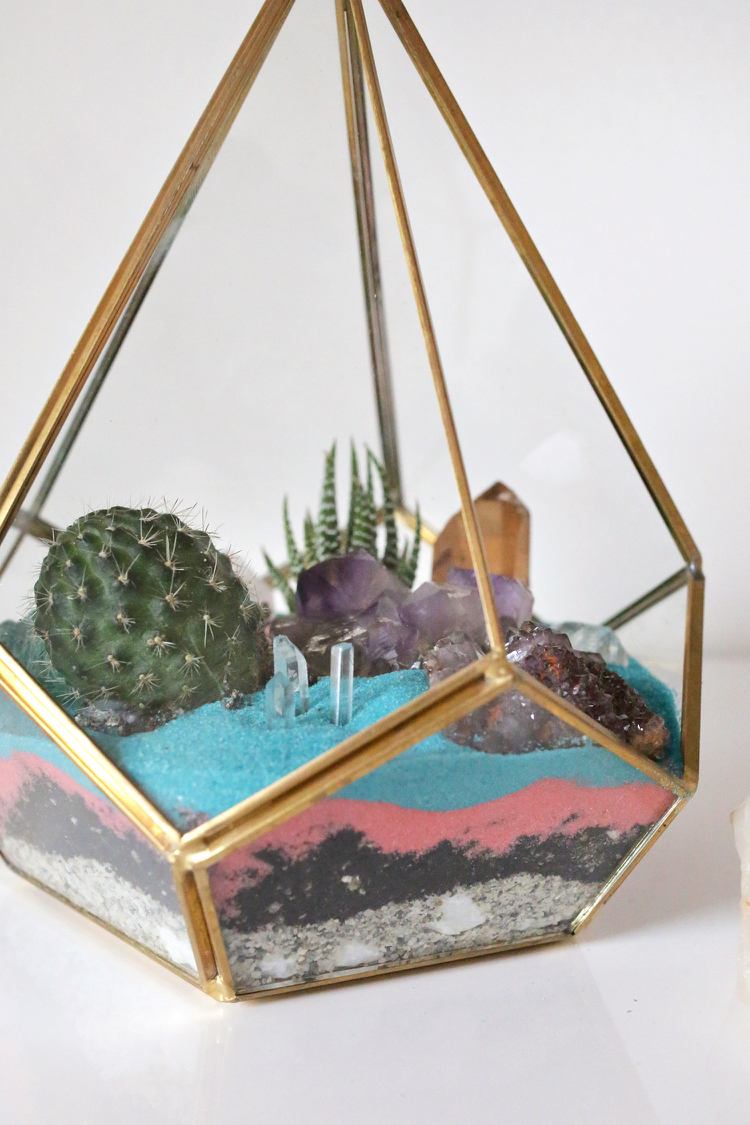 Skapa miniträdgård med kaktusflorariumsuckulenter färgade sandkristaller