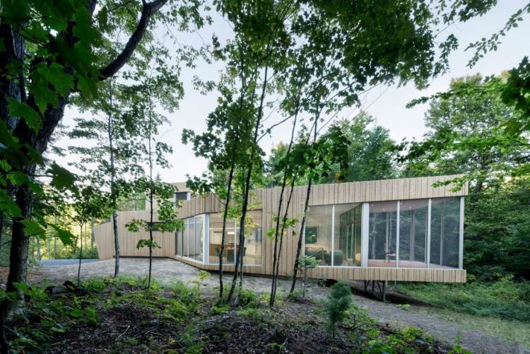 Minimalistisk levande -natur-modern-hus-arkitektur-skog-landskap-omgivning
