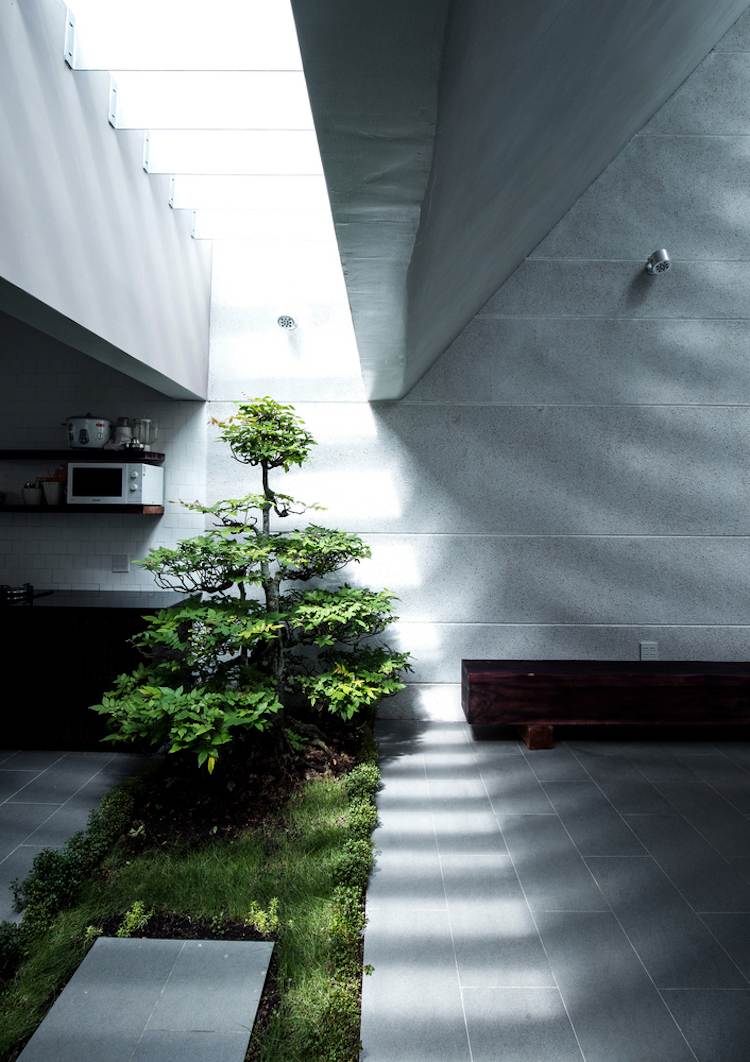 minimalistisk-arkitektur-interiör-landskapsarkitektur-dekorativ-trä-interiör-grå-takfönster