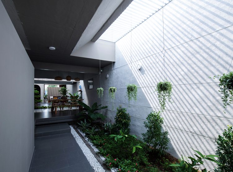minimalistisk-arkitektur-interiör-landskapsarkitektur-vertikal-trädgård-växter-dagsljus