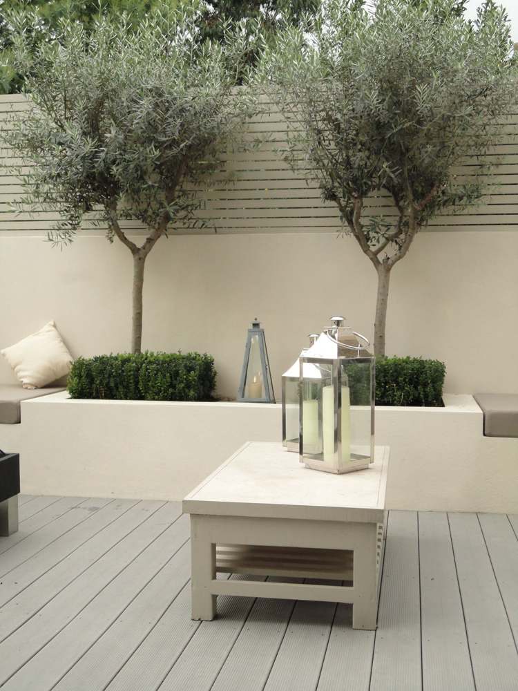 minimalistisk-trädgård-betong-olivträd-trä-planka-sekretessskärm