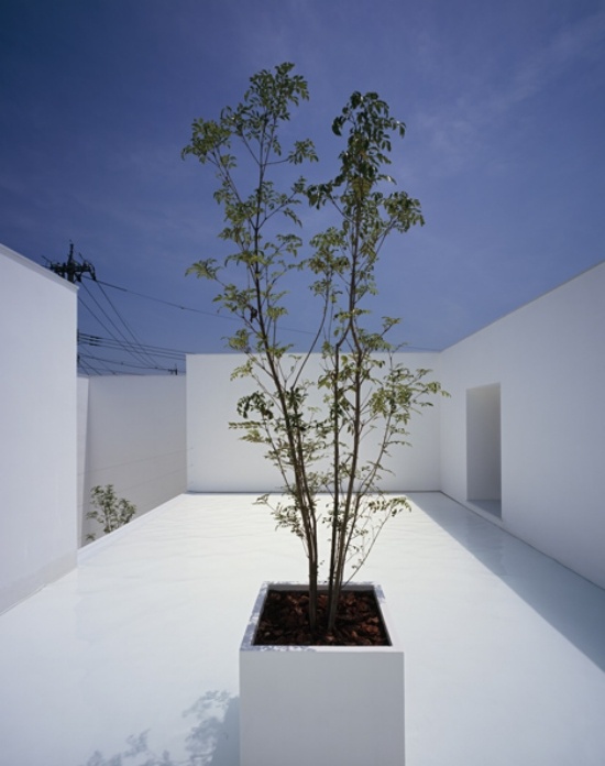 japansk arkitektur betonghus minimalistiskt trendigt lager innergård