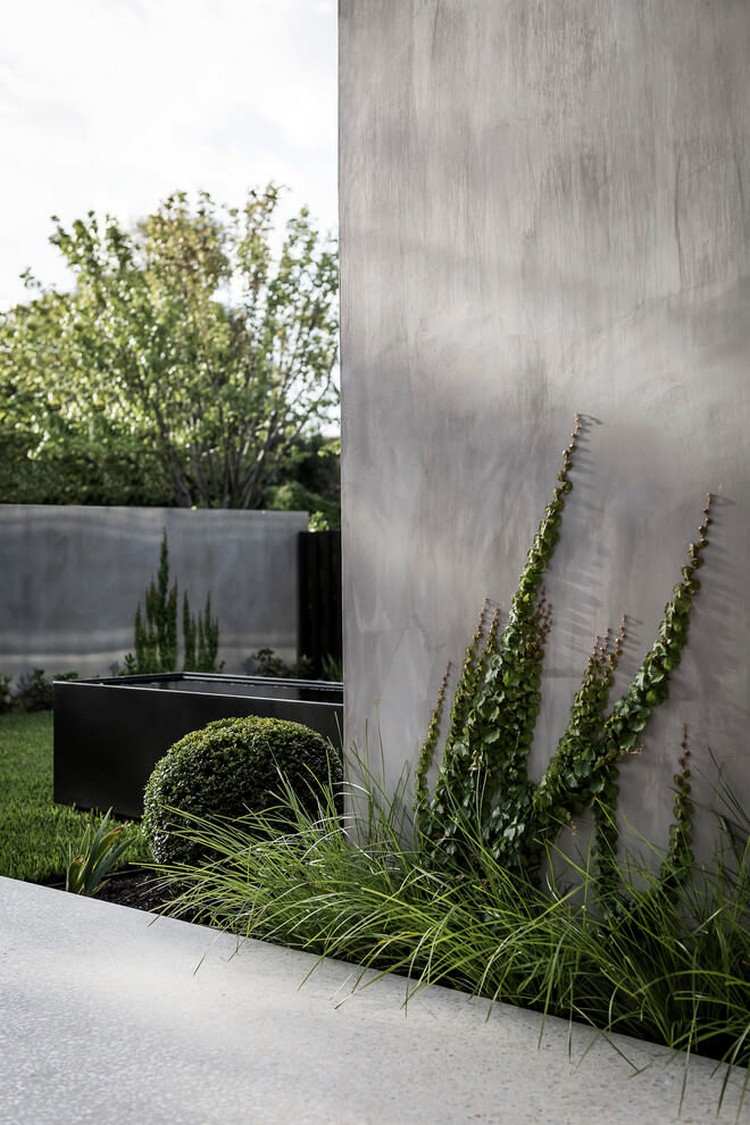 betong-hus-minimalistisk-betong-fasad-grönare-klätterväxter