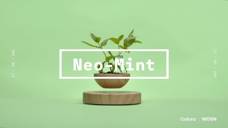Färg Neo Mint är en vacker ljusgrön