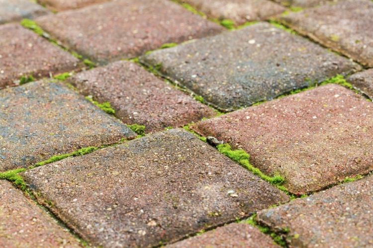rengöring av terrassplattor tar bort mossalger hushållsmedel