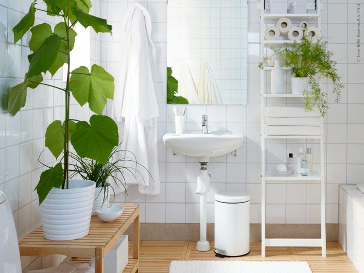 Växter till badrummet gröna liljekrukväxter-handfat-pedalfack-hylla-trägolv-badrumstillbehör