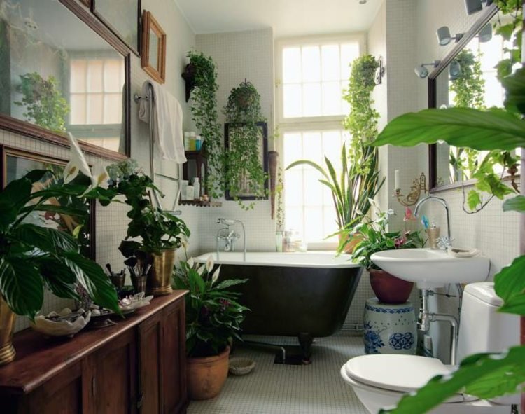 växt-badrum-fönster-vägg-hållare-efeutute-fönsterbrädan-båge hampa-enkel-ark-bad-dekoration
