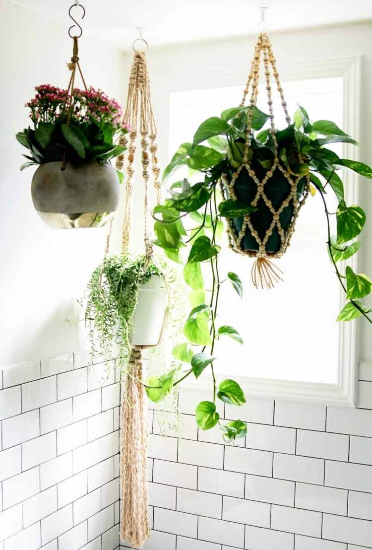växter-badrum-efeutute-hängande korgar-tak-hängande-vägg-kakel-vit-fönster
