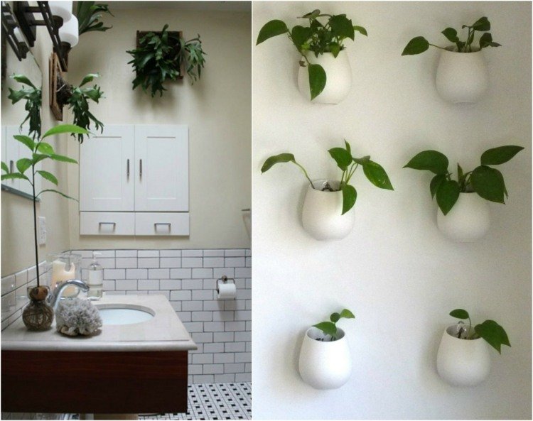 växt-badrum-horn-ormbunke-efeutute-vägghållare-keramik-vit-badrum-mörk-diskbänk-spegel