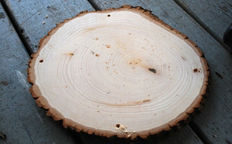 trä-diskar-tinker-hål-borra-bark-stam
