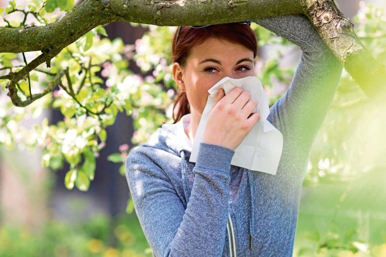Agent mot hösnuva förebyggande åtgärder pollenallergi