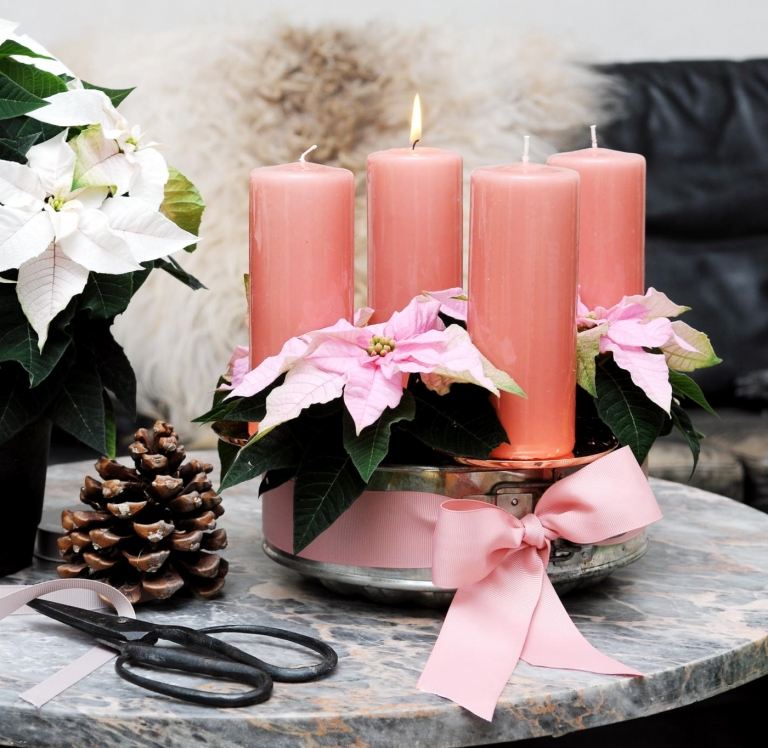 Dekorera jularrangemang med rosa julstjärna och rosa ljus
