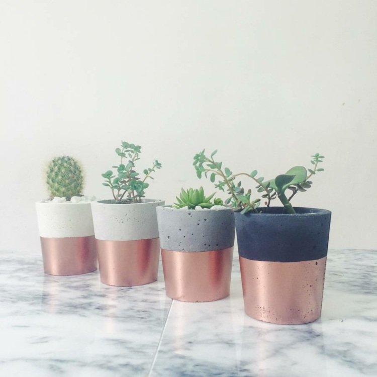 modern dekoration diy-idéer-betong-färger-ombre-kaktus-saftiga växter