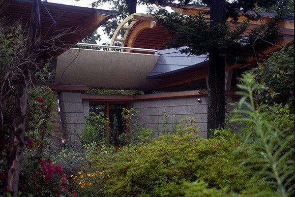 Familjebostad trädgård grind plantering frodig Japan design