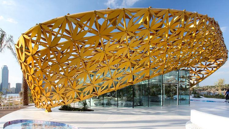 modern-fasad-design-guld-blommor-effektivt-exteriör-glas