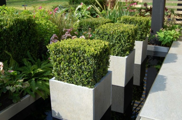 moderna trädgårdsdesign exempel betong vatten boxwood blomkruka säng