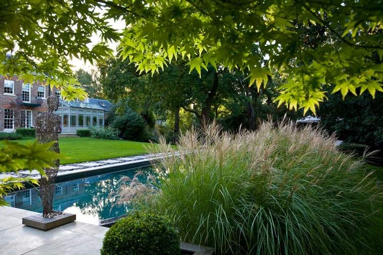 Modern trädgårdsdesign-idéer-tips-lyx-pool-pampas-gräs-skulptur