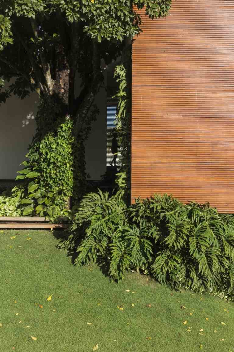 Modern trädgårdsdesign-träfasad-ormbunkar-gräsmatta-palmträd-murgröna-entré