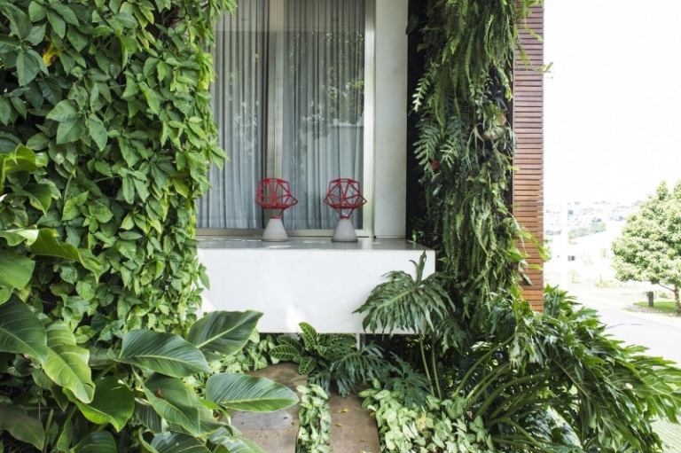modern-trädgård-design-trä fasad-klättring växter-palm-mark lock-fönster-hus-terrass