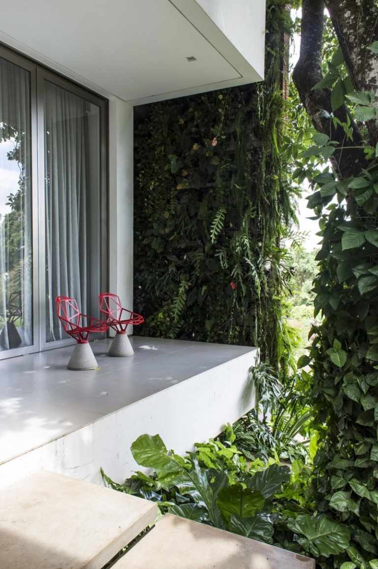 modern-trädgård design-trä fasad-klättring växter-terrass-stolar-terrass-dörrar-gardiner-palm-ormbunkar