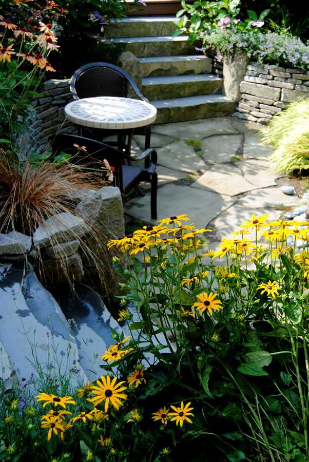modern trädgård design perenner idéer svartögda susanne lyonroad