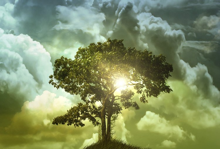 Modern gravdesign-alternativ-träd-liv-sol-symbol-mening