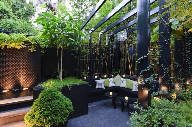 modern terrass landskap arkitektur i trädgården australien trädgård sekretess skärm